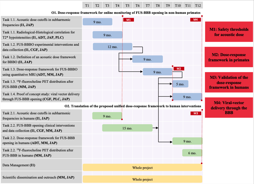 DREAM-ON-FUS timeline and milestones